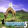 java игра Yeti Sports Part 5: Flamingo Drive